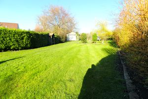 Garden- click for photo gallery